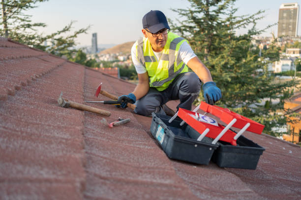 Best Insulated Siding Installation  in Belcourt, ND